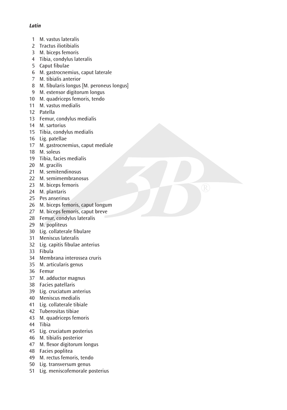 3B Scientific Knee Joint with Removable Muscles, 12 part User Manual | Page 3 / 32