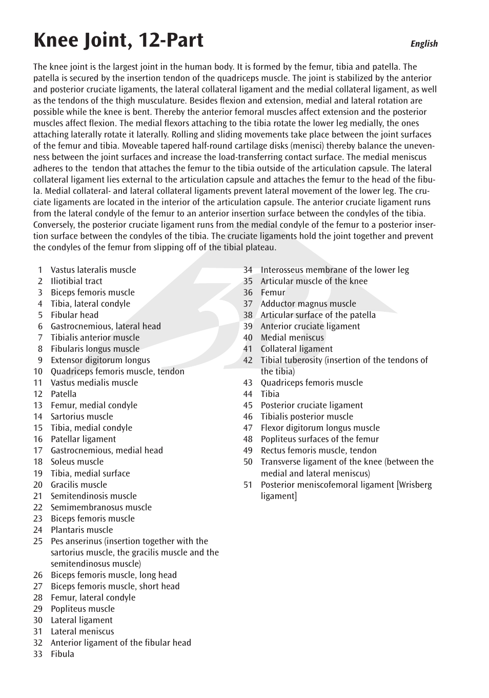 Knee joint, 12-part | 3B Scientific Knee Joint with Removable Muscles, 12 part User Manual | Page 4 / 32