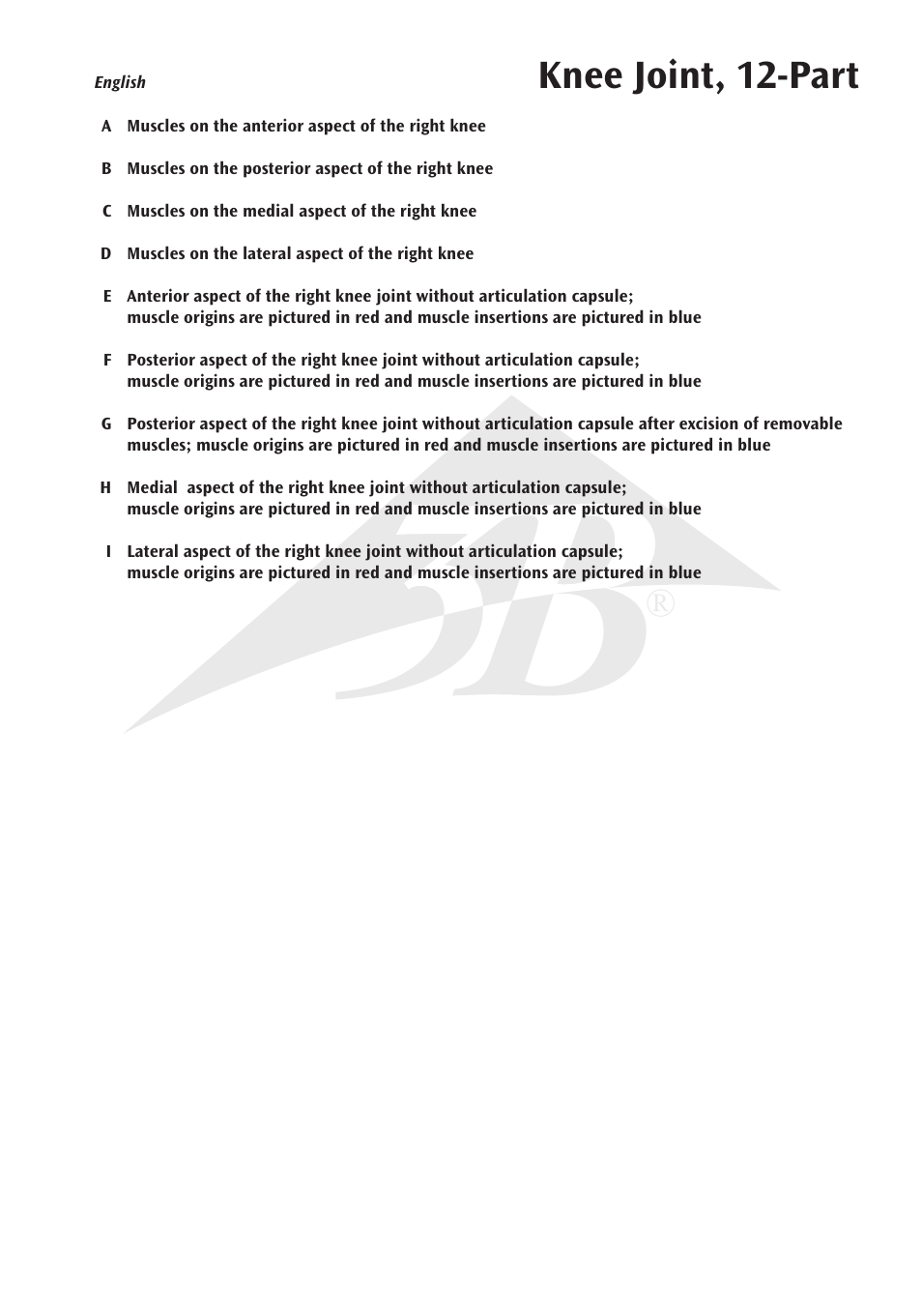 Knee joint, 12-part | 3B Scientific Knee Joint with Removable Muscles, 12 part User Manual | Page 5 / 32
