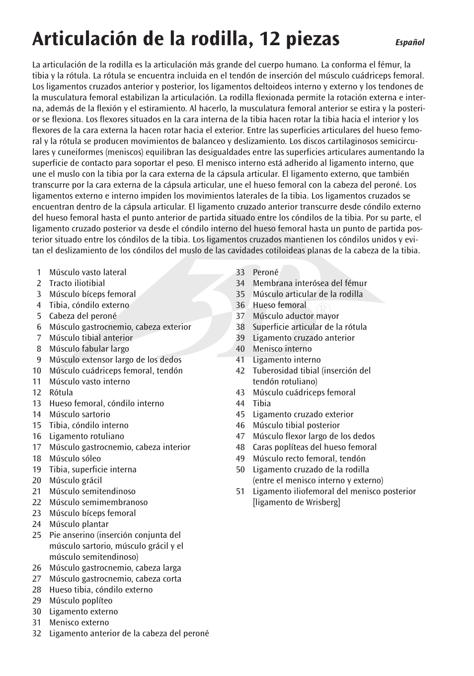 Articulación de la rodilla, 12 piezas | 3B Scientific Knee Joint with Removable Muscles, 12 part User Manual | Page 8 / 32