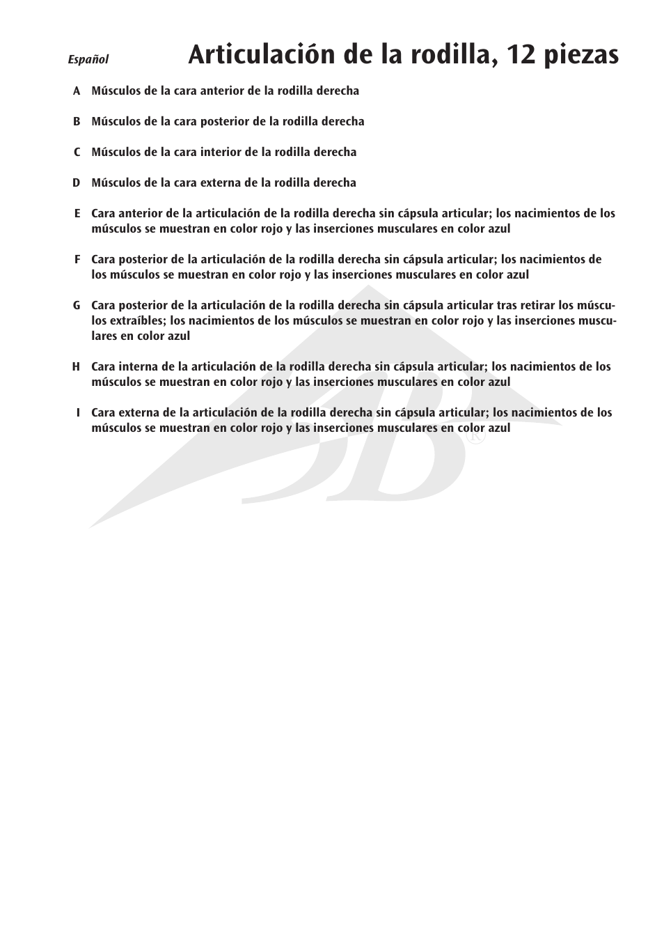 Articulación de la rodilla, 12 piezas | 3B Scientific Knee Joint with Removable Muscles, 12 part User Manual | Page 9 / 32