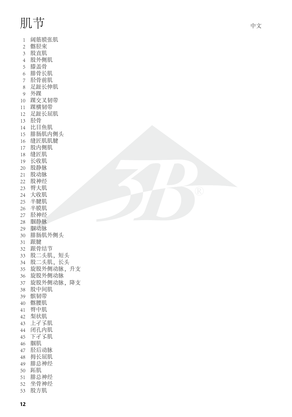 3B Scientific Deluxe Muscle Leg, 7 part, Life Size User Manual | Page 12 / 28