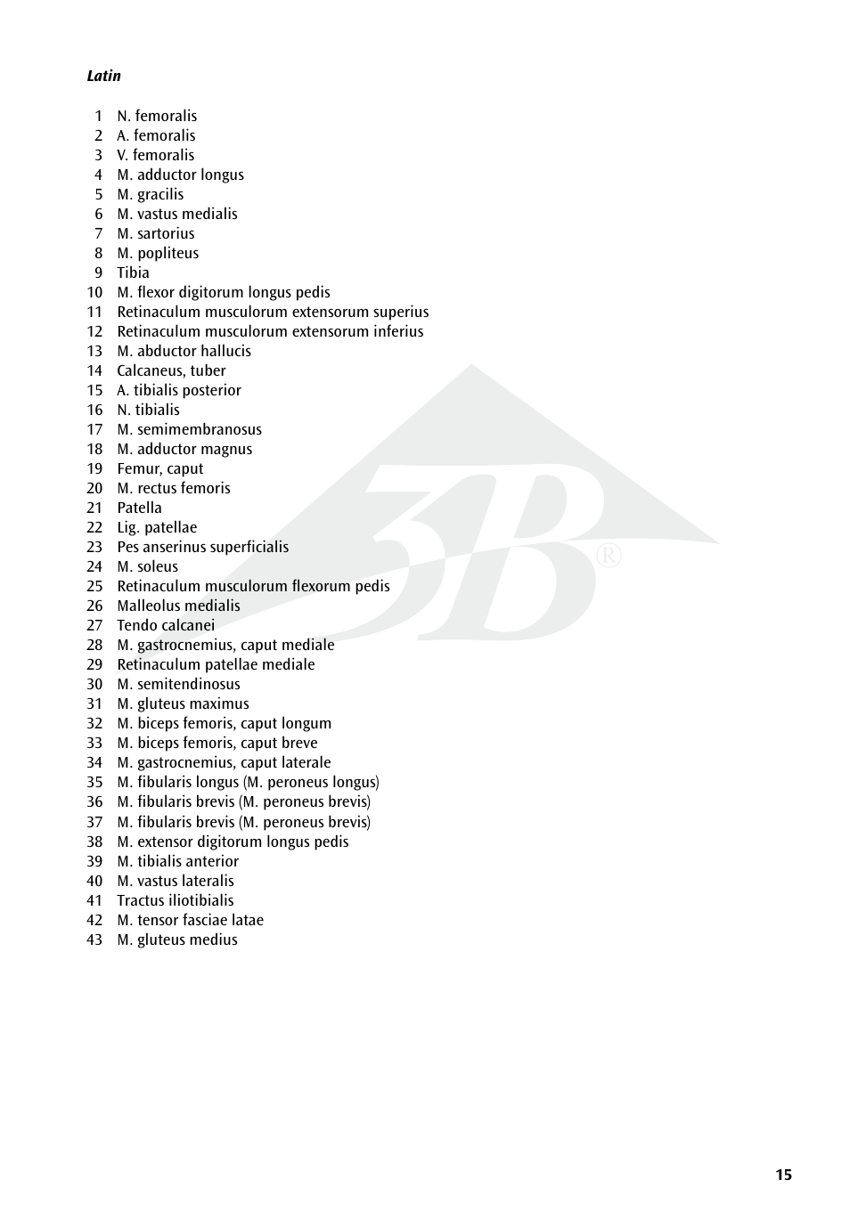3B Scientific Deluxe Muscle Leg, 7 part, Life Size User Manual | Page 15 / 28