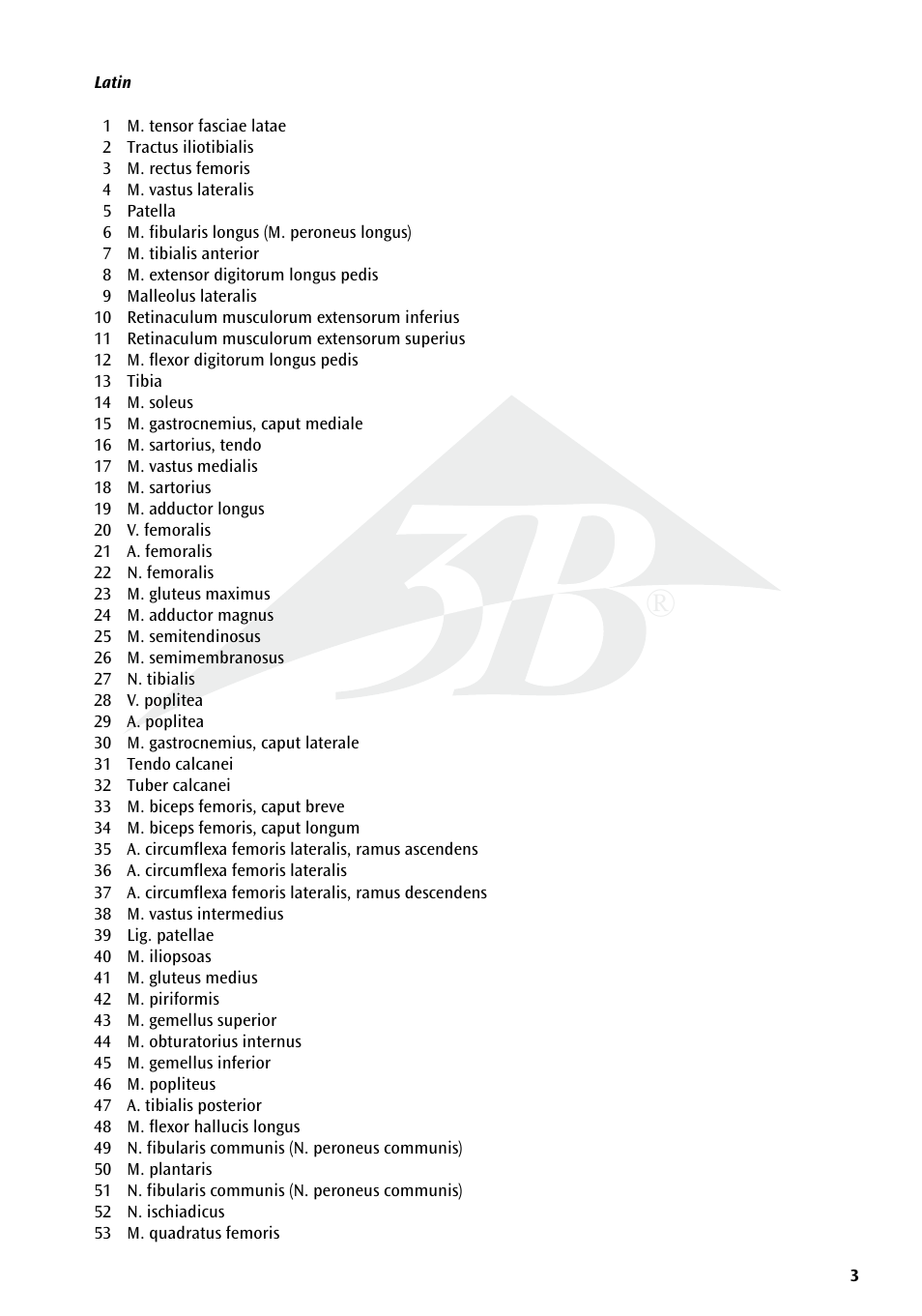3B Scientific Deluxe Muscle Leg, 7 part, Life Size User Manual | Page 3 / 28