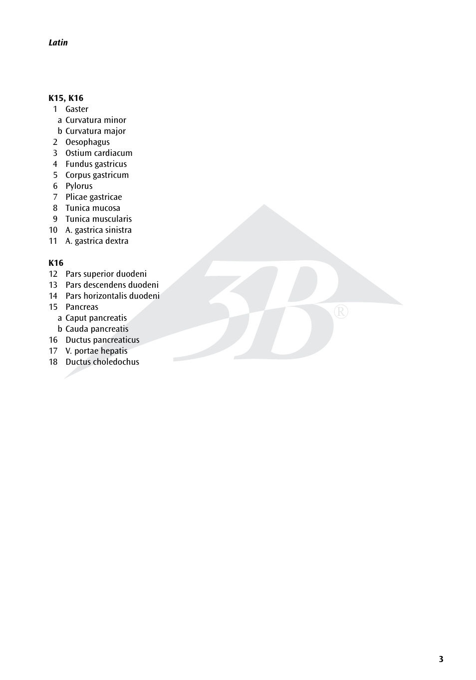 3B Scientific Stomach, 3 part User Manual | Page 3 / 16