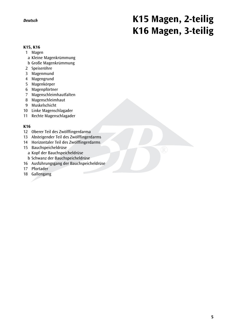 3B Scientific Stomach, 3 part User Manual | Page 5 / 16