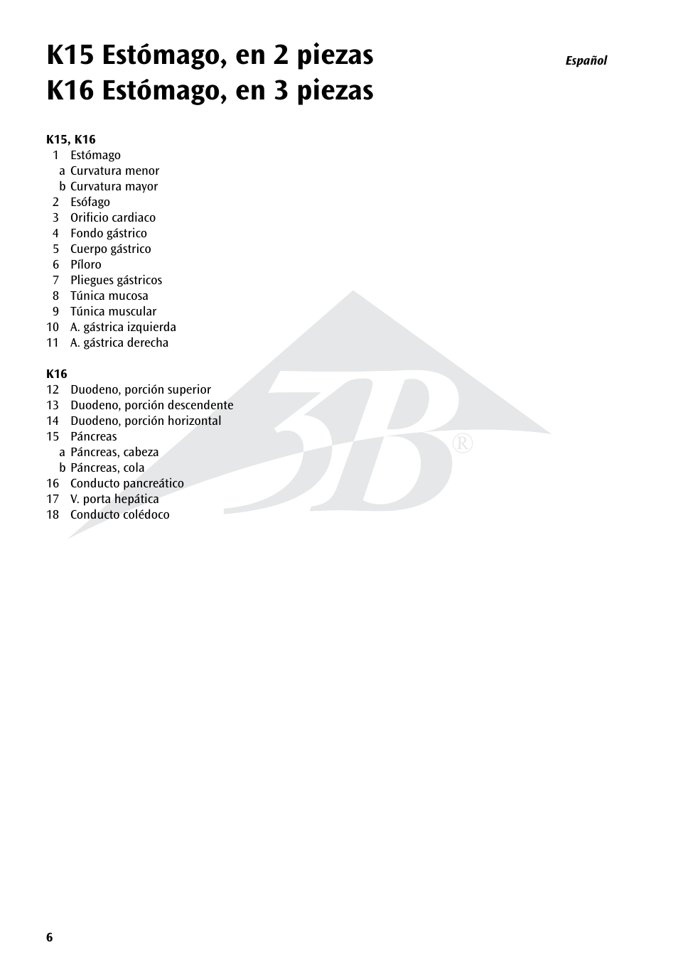 3B Scientific Stomach, 3 part User Manual | Page 6 / 16