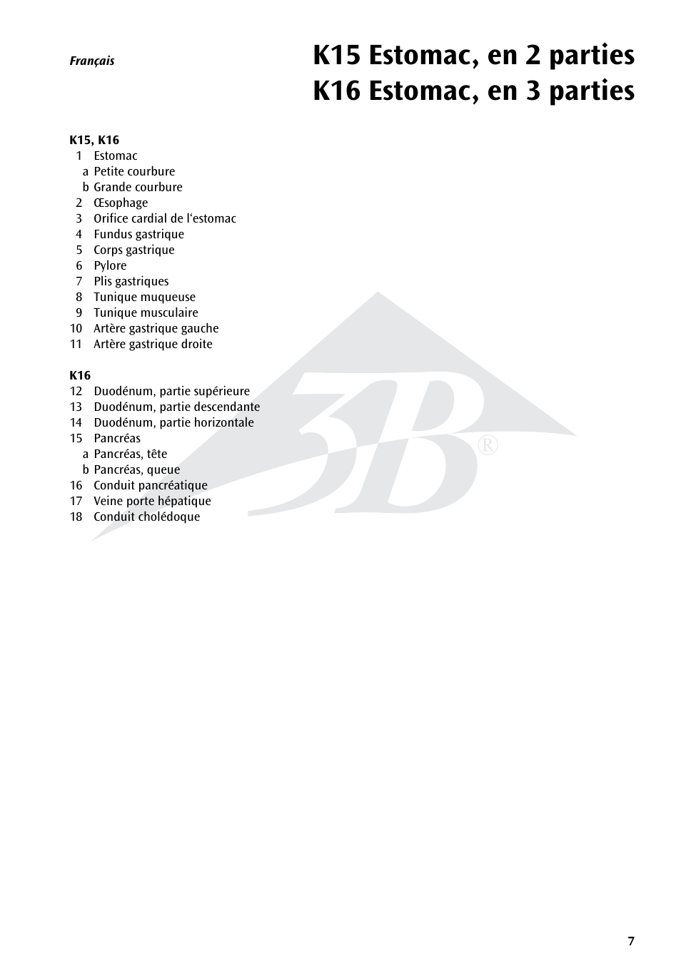 3B Scientific Stomach, 3 part User Manual | Page 7 / 16