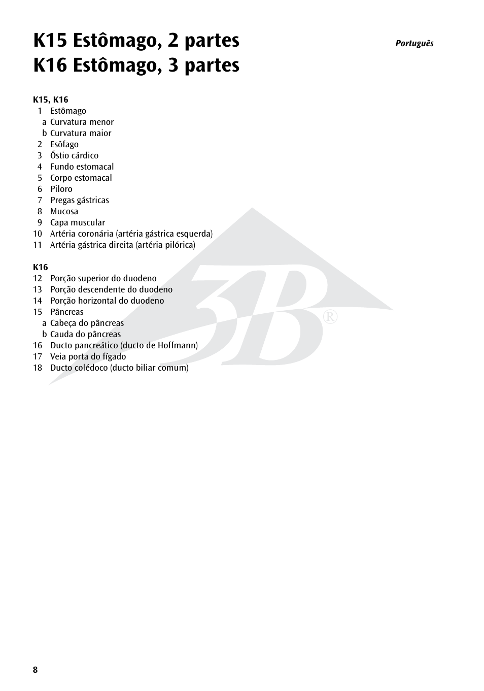 3B Scientific Stomach, 3 part User Manual | Page 8 / 16