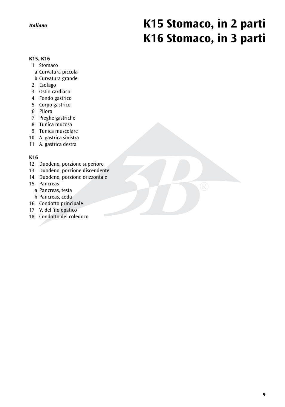 3B Scientific Stomach, 3 part User Manual | Page 9 / 16