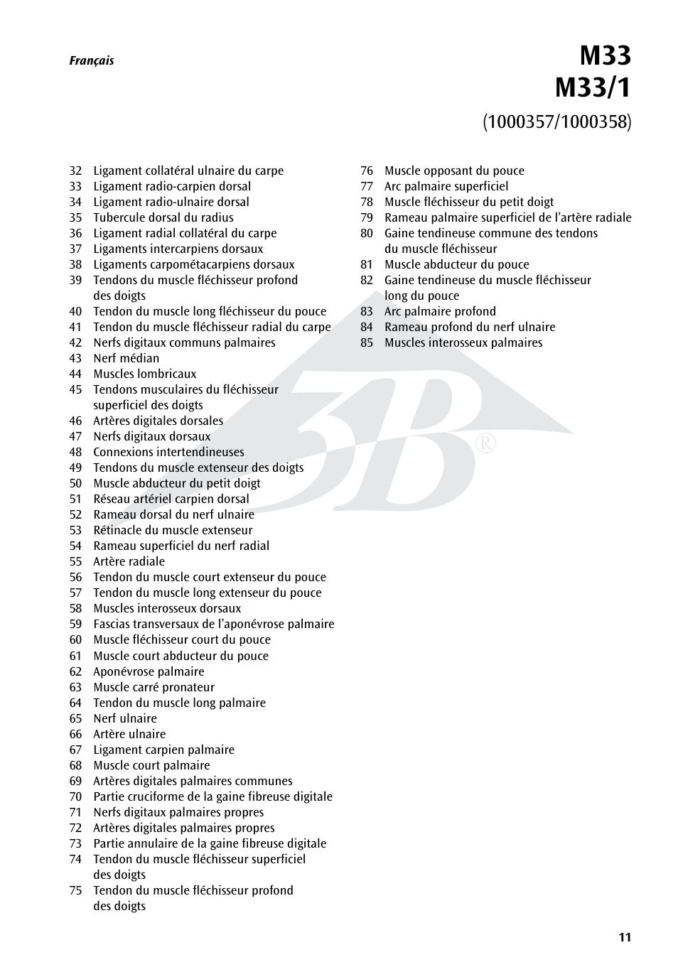 3B Scientific Hand Skeleton Model with Ligaments and Muscles User Manual | Page 11 / 32