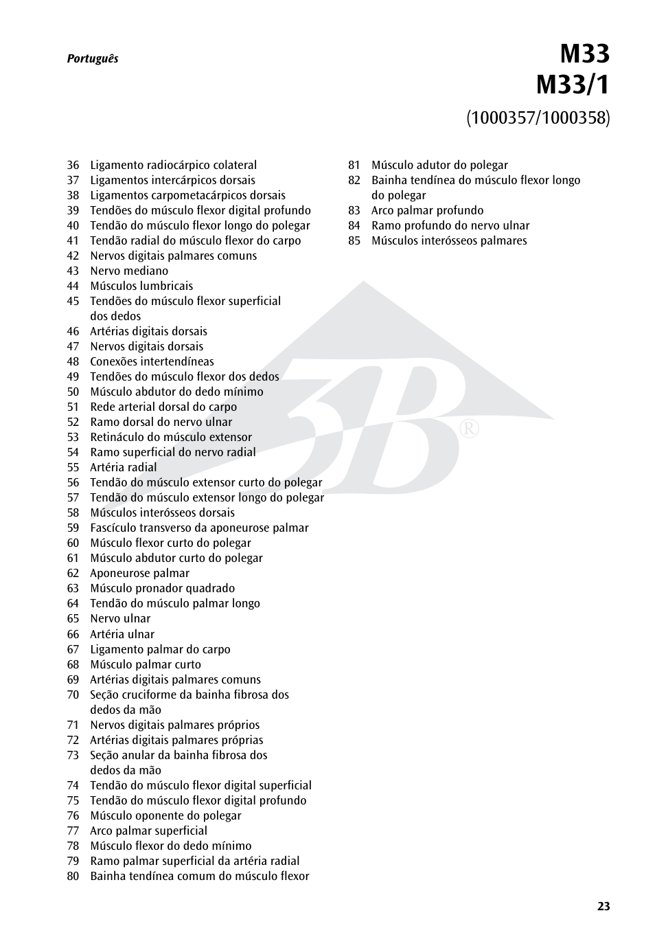 3B Scientific Hand Skeleton Model with Ligaments and Muscles User Manual | Page 23 / 32