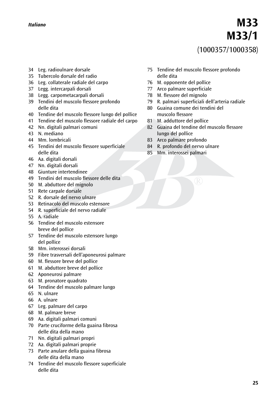 3B Scientific Hand Skeleton Model with Ligaments and Muscles User Manual | Page 25 / 32