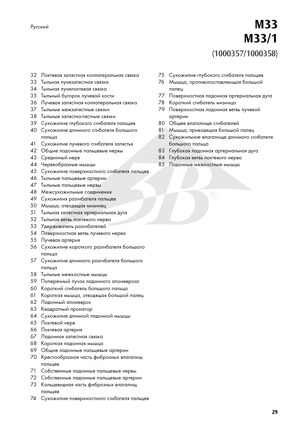 3B Scientific Hand Skeleton Model with Ligaments and Muscles User Manual | Page 29 / 32