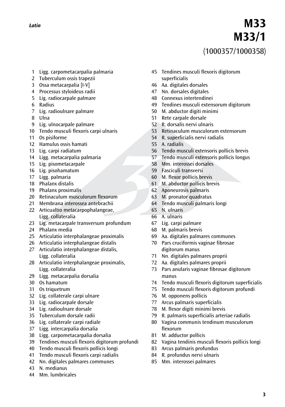 3B Scientific Hand Skeleton Model with Ligaments and Muscles User Manual | Page 3 / 32