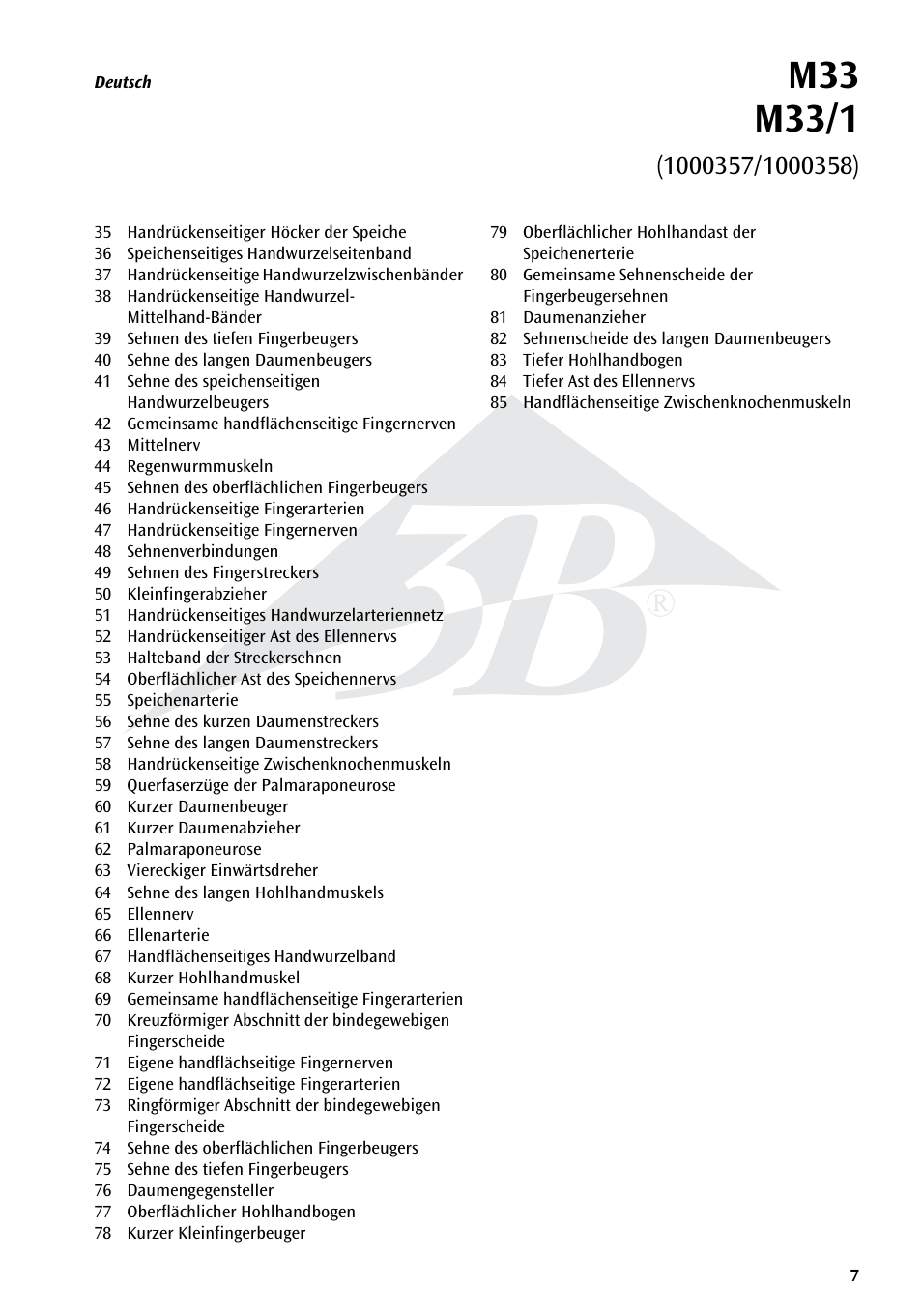 3B Scientific Hand Skeleton Model with Ligaments and Muscles User Manual | Page 7 / 32