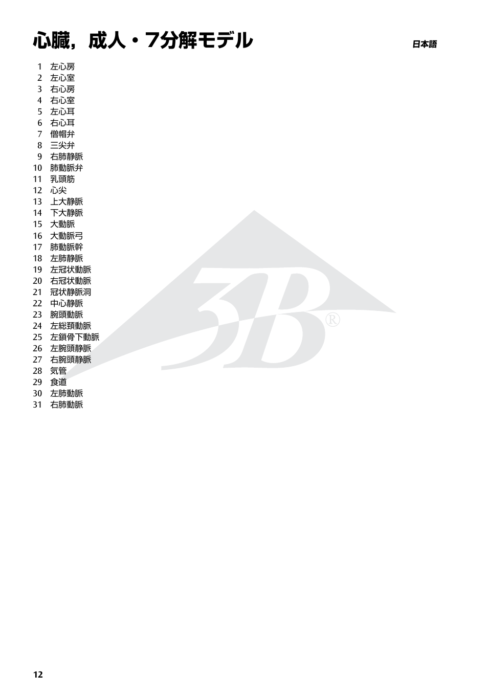 心臓，成人・7分解モデル | 3B Scientific Heart, 7 part User Manual | Page 12 / 16