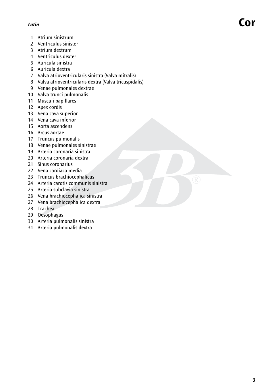 3B Scientific Heart, 7 part User Manual | Page 3 / 16