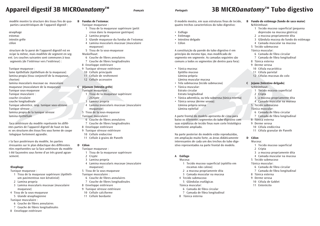 3b micro anatomy ™ tubo digestivo, Appareil digestif 3b micro anatomy | 3B Scientific 3B MICROanatomy™ Digestive System - 20-times magnified User Manual | Page 5 / 8