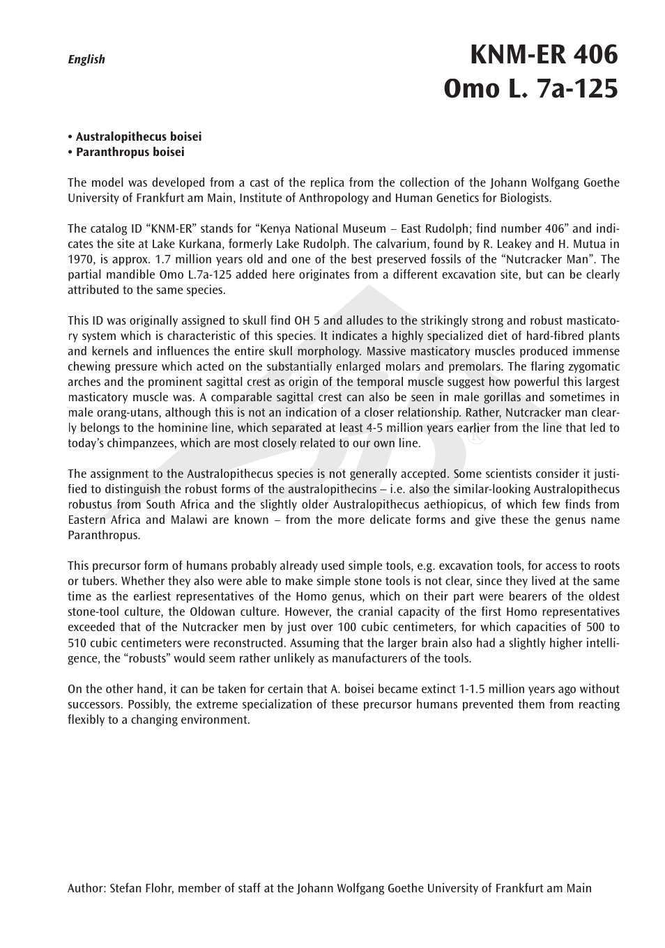 3B Scientific Anthropological Skull Model - KNM-ER 406, Omo L. 7a-125 User Manual | Page 3 / 12