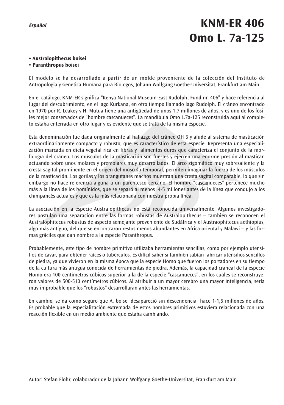 3B Scientific Anthropological Skull Model - KNM-ER 406, Omo L. 7a-125 User Manual | Page 5 / 12