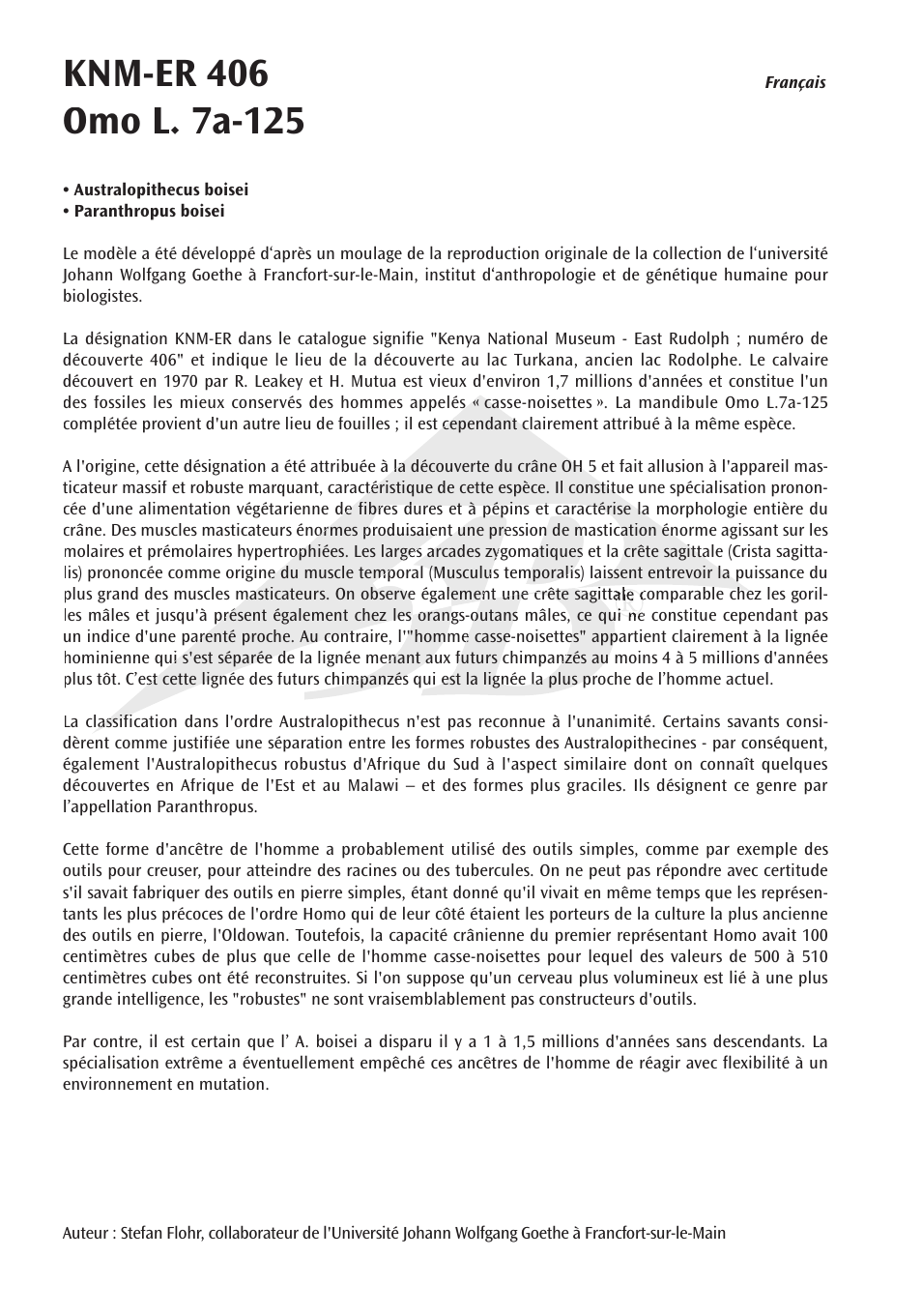 3B Scientific Anthropological Skull Model - KNM-ER 406, Omo L. 7a-125 User Manual | Page 6 / 12