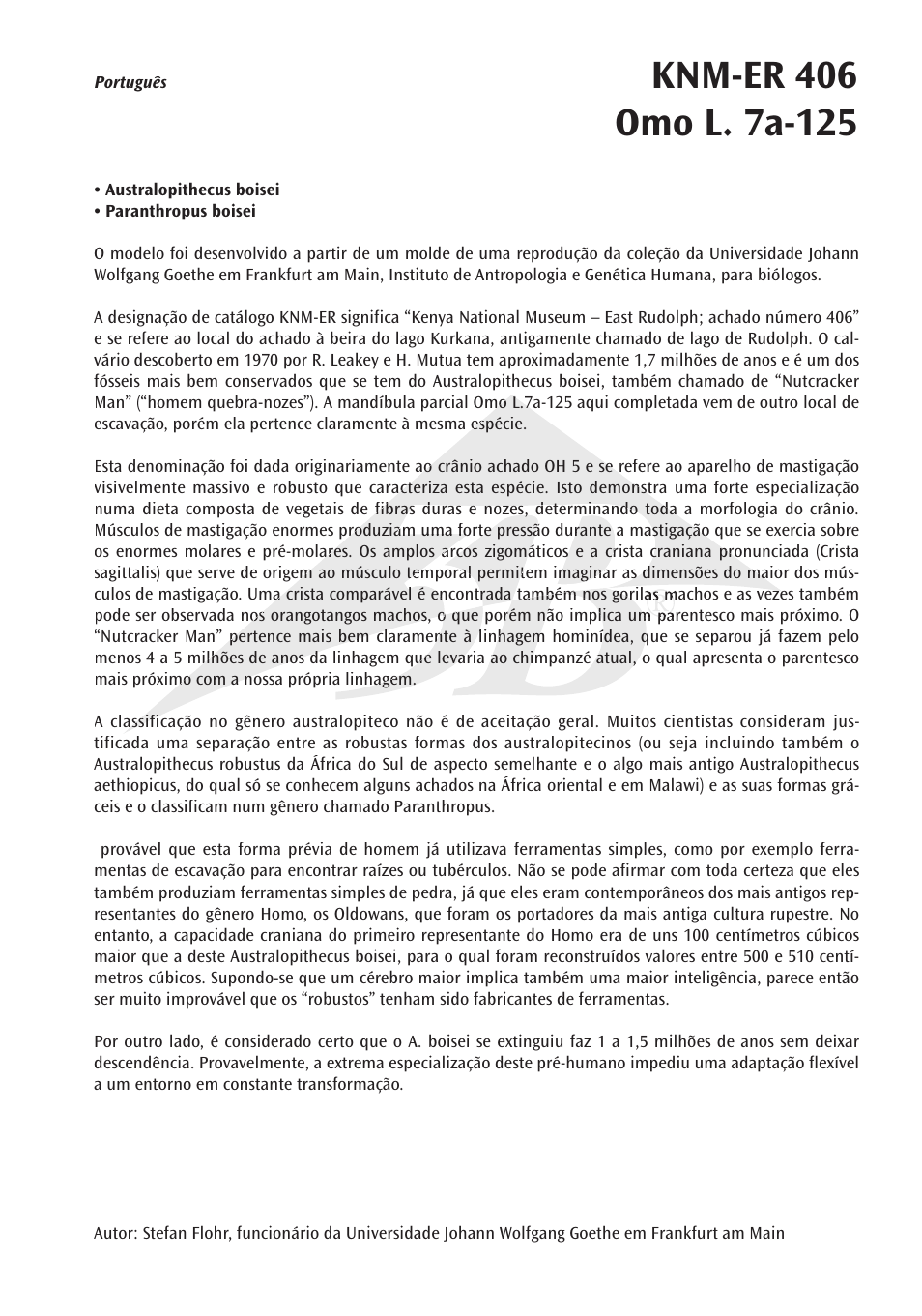 3B Scientific Anthropological Skull Model - KNM-ER 406, Omo L. 7a-125 User Manual | Page 7 / 12