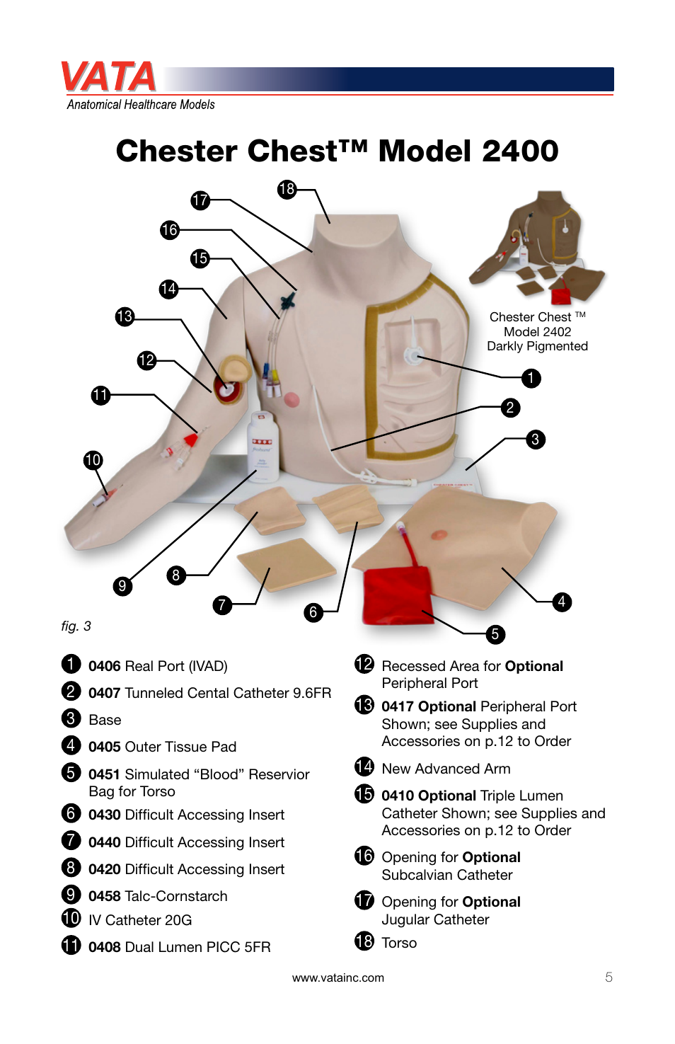 Chester chest™ model 2400 | 3B Scientific Chester Chest™ With New Advanced Arm User Manual | Page 5 / 12