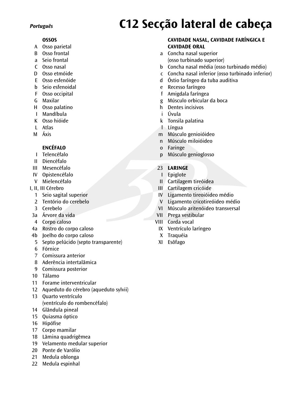 C12 secção lateral de cabeça | 3B Scientific Median and Frontal Section of the Head User Manual | Page 13 / 24