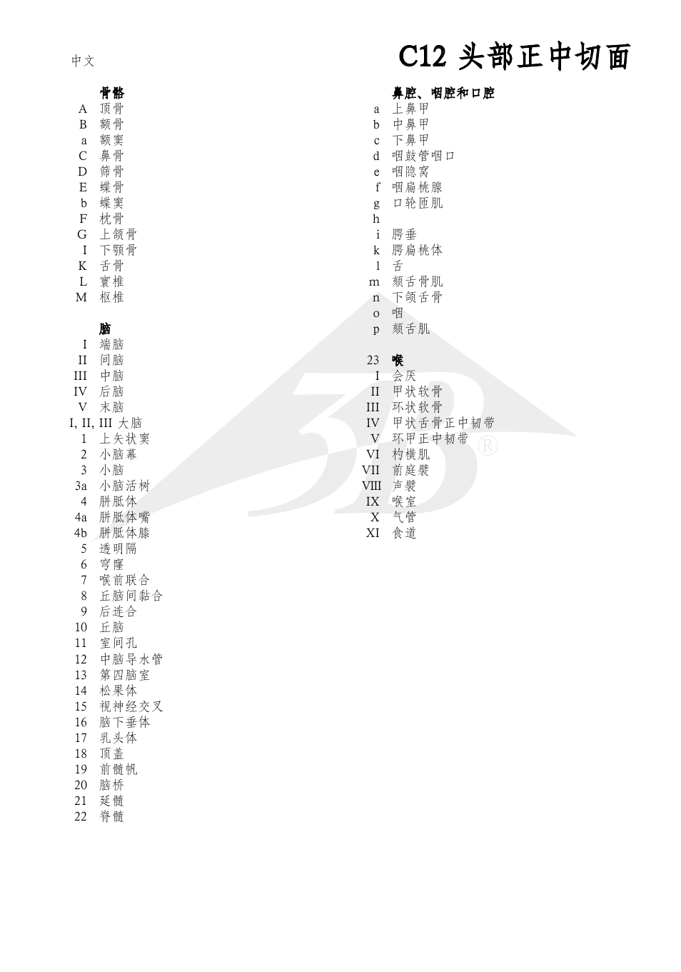 C12 头部正中切面 | 3B Scientific Median and Frontal Section of the Head User Manual | Page 21 / 24