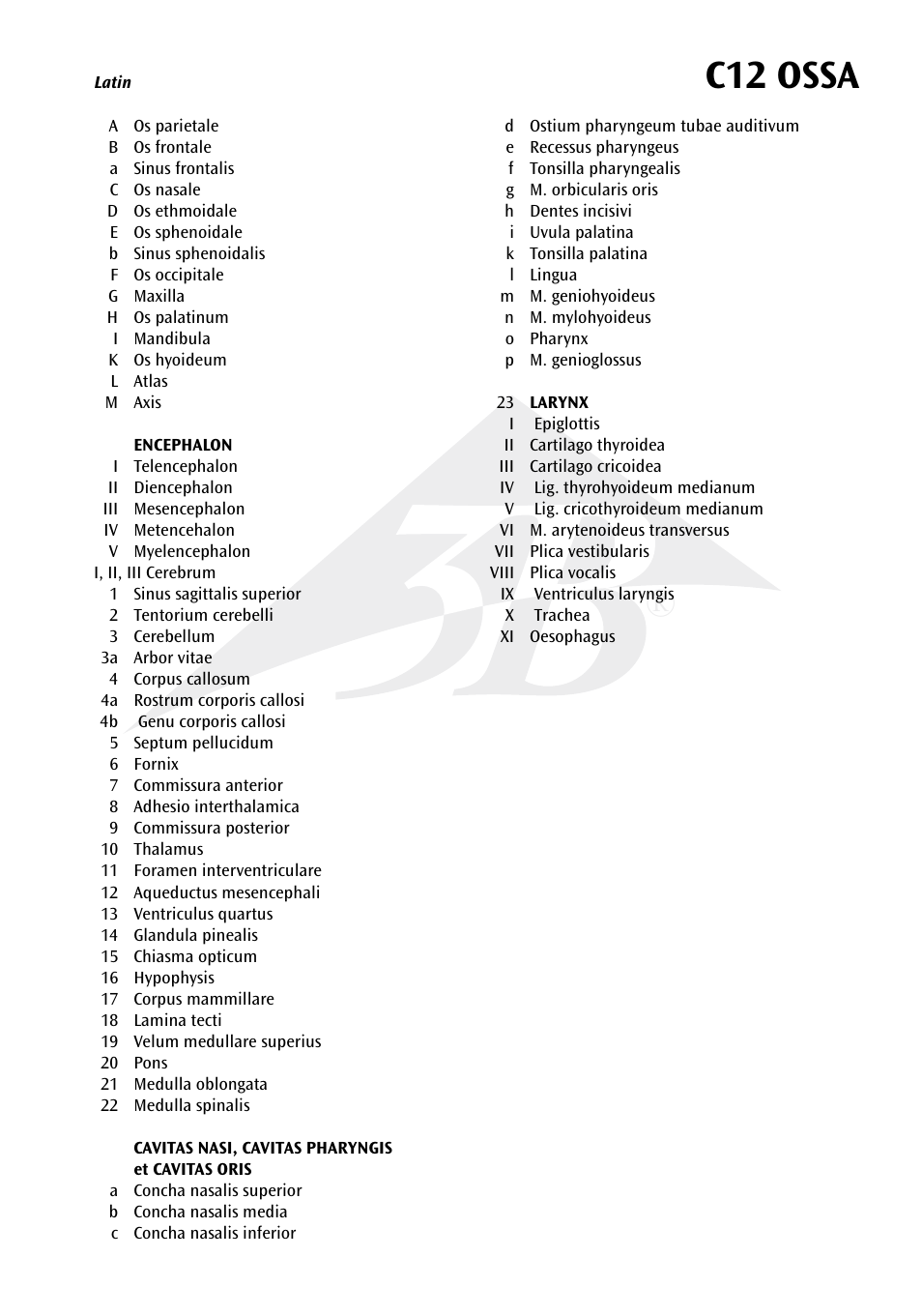 C12 ossa | 3B Scientific Median and Frontal Section of the Head User Manual | Page 3 / 24