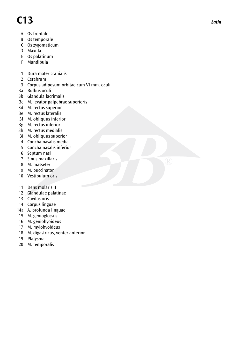 3B Scientific Median and Frontal Section of the Head User Manual | Page 4 / 24