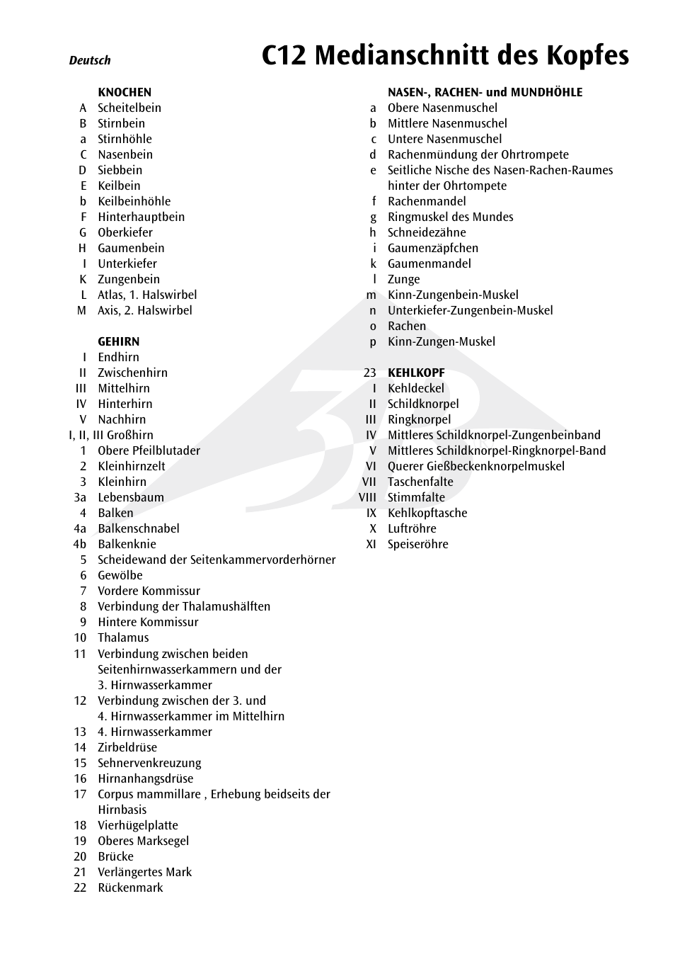 C12 medianschnitt des kopfes | 3B Scientific Median and Frontal Section of the Head User Manual | Page 7 / 24