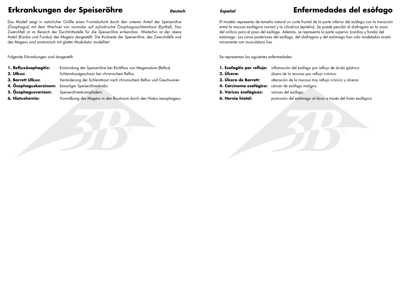 Enfermedades del esófago, Erkrankungen der speiseröhre | 3B Scientific Diseases of the Esophagus User Manual | Page 3 / 7