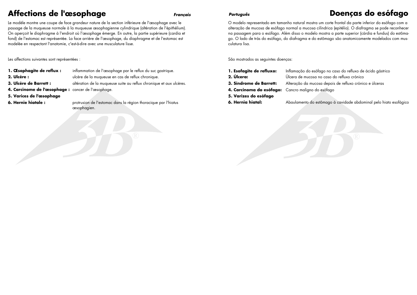 Doenças do esófago, Affections de l'œsophage | 3B Scientific Diseases of the Esophagus User Manual | Page 5 / 7