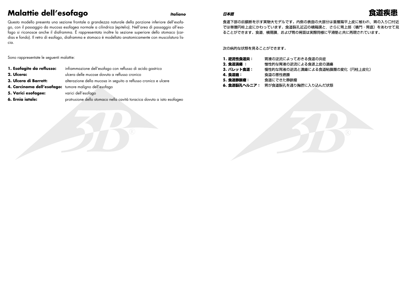 Malattie dell’esofago | 3B Scientific Diseases of the Esophagus User Manual | Page 6 / 7