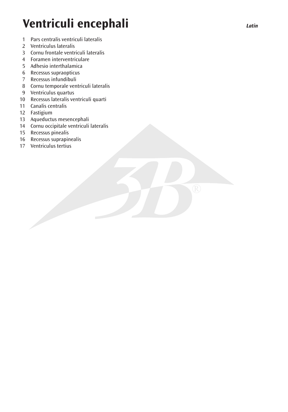 Ventriculi encephali | 3B Scientific Brain Ventricle User Manual | Page 2 / 12
