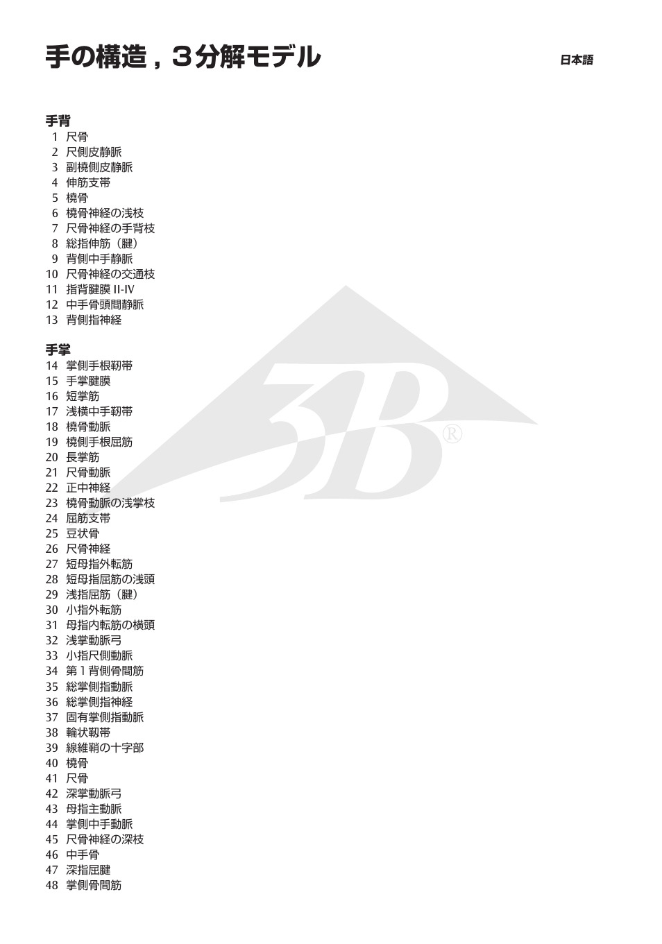 手の構造 , ３分解モデル | 3B Scientific Internal Hand Structure Model, 3 part User Manual | Page 10 / 12