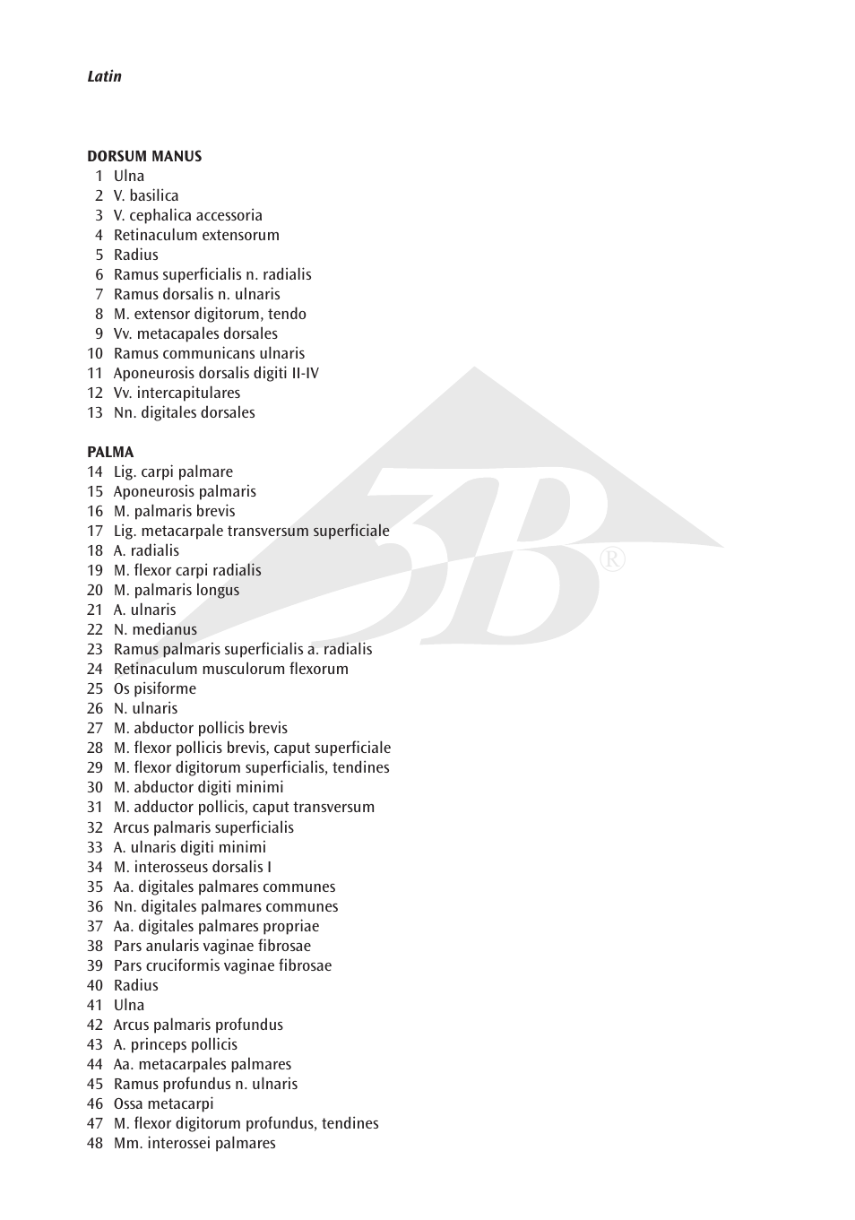 3B Scientific Internal Hand Structure Model, 3 part User Manual | Page 3 / 12