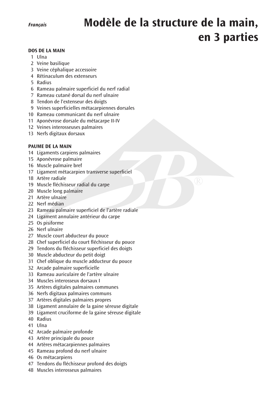 Modèle de la structure de la main, en 3 parties | 3B Scientific Internal Hand Structure Model, 3 part User Manual | Page 7 / 12