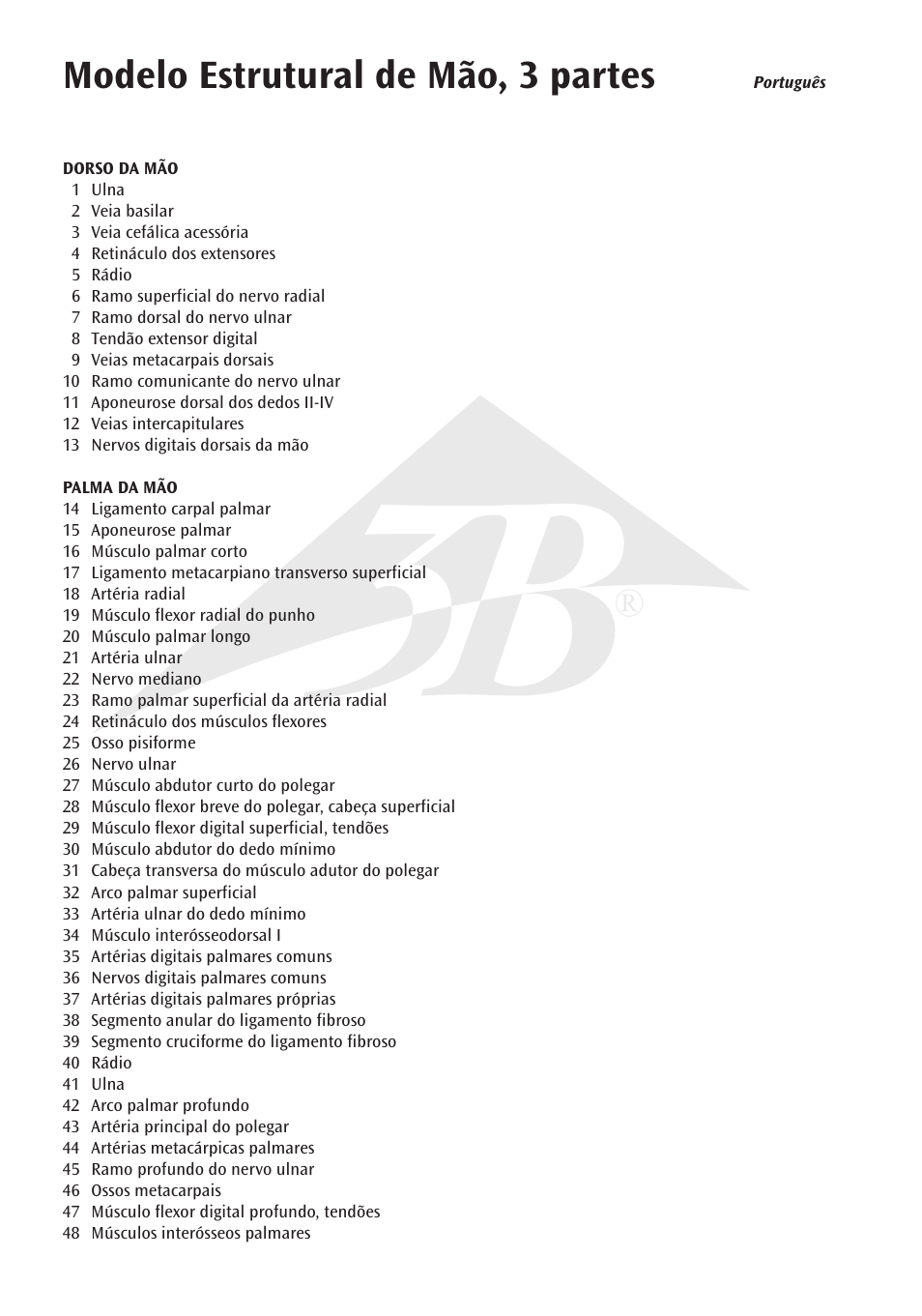 Modelo estrutural de mão, 3 partes | 3B Scientific Internal Hand Structure Model, 3 part User Manual | Page 8 / 12