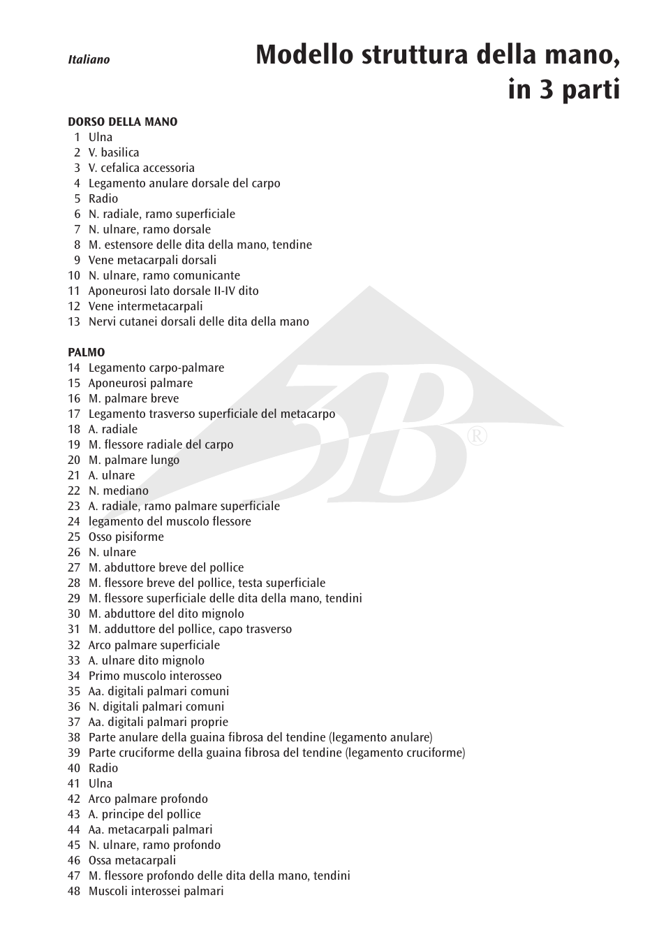 Modello struttura della mano, in 3 parti | 3B Scientific Internal Hand Structure Model, 3 part User Manual | Page 9 / 12