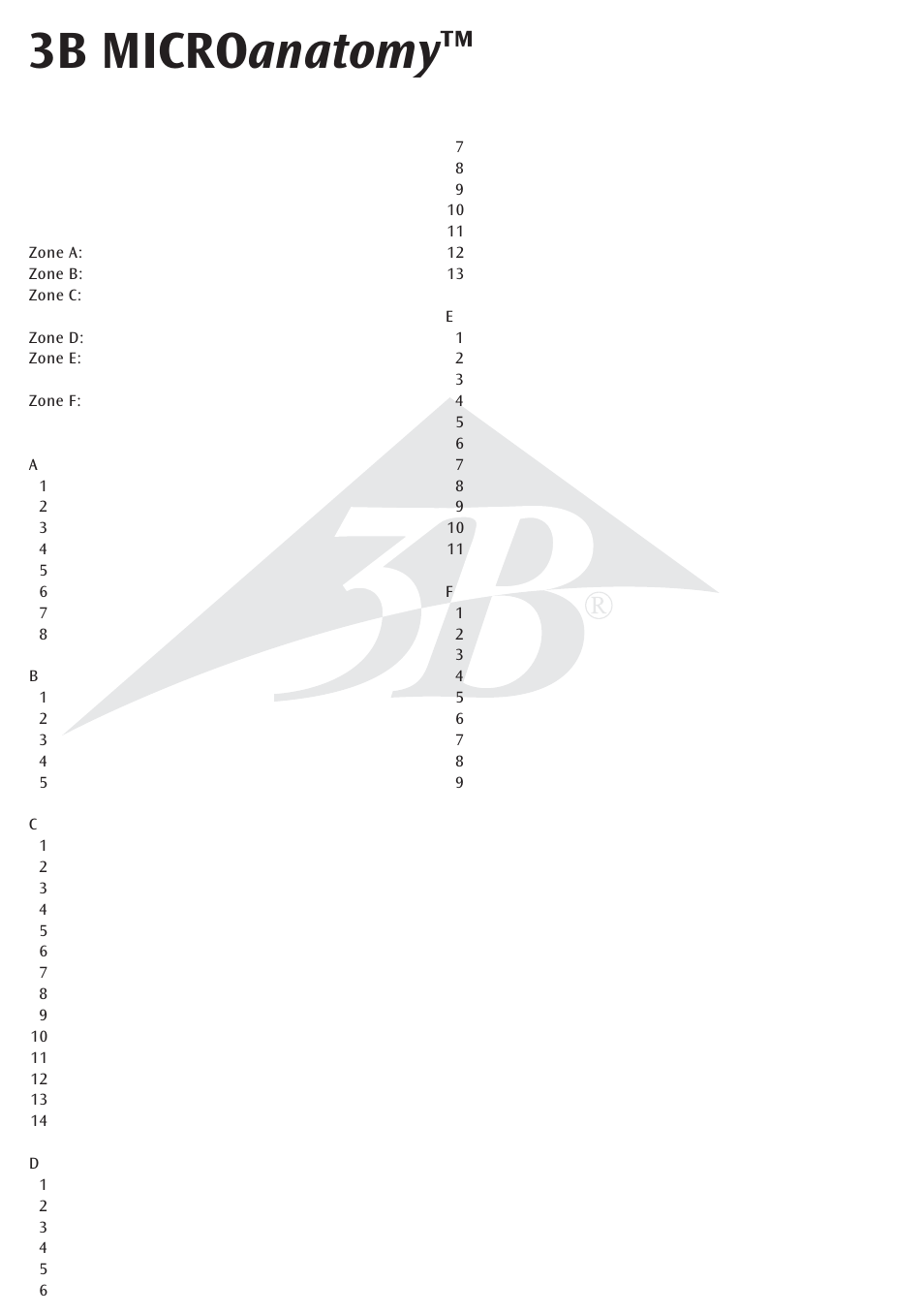 3b micro anatomy | 3B Scientific 3B MICROanatomy™ Kidney User Manual | Page 8 / 9