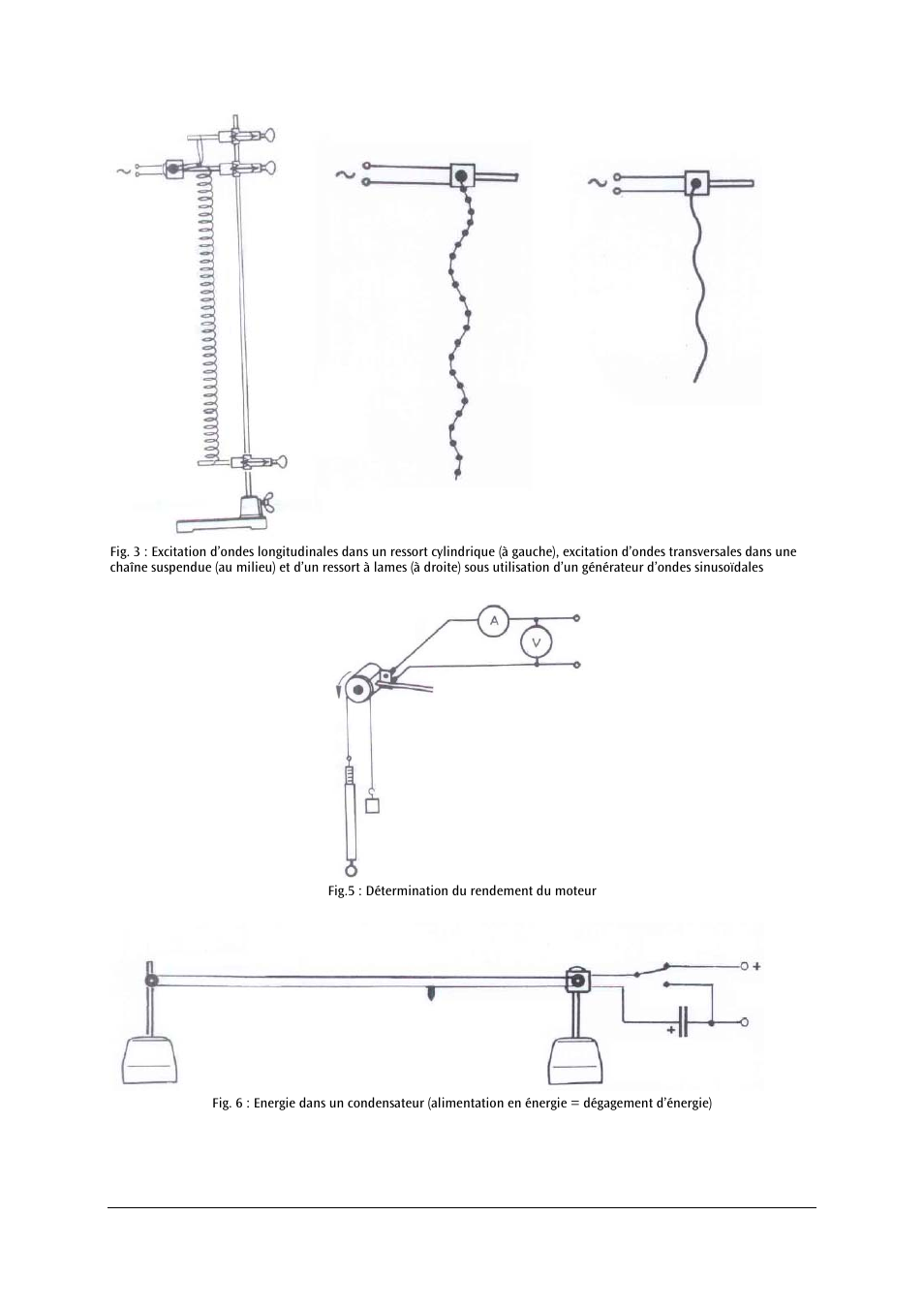 3B Scientific Motor, 12 V DC User Manual | Page 11 / 24