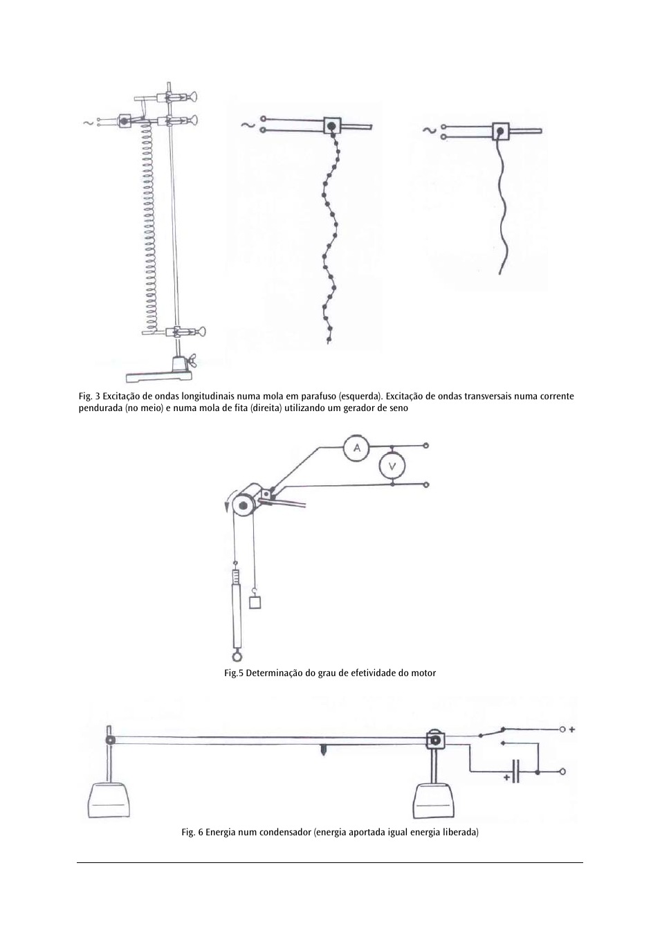 3B Scientific Motor, 12 V DC User Manual | Page 23 / 24