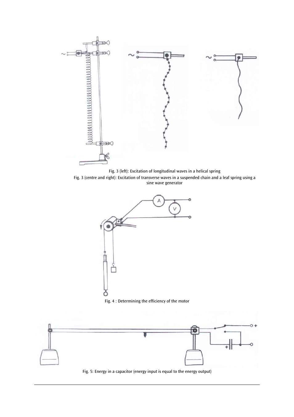 3B Scientific Motor, 12 V DC User Manual | Page 7 / 24