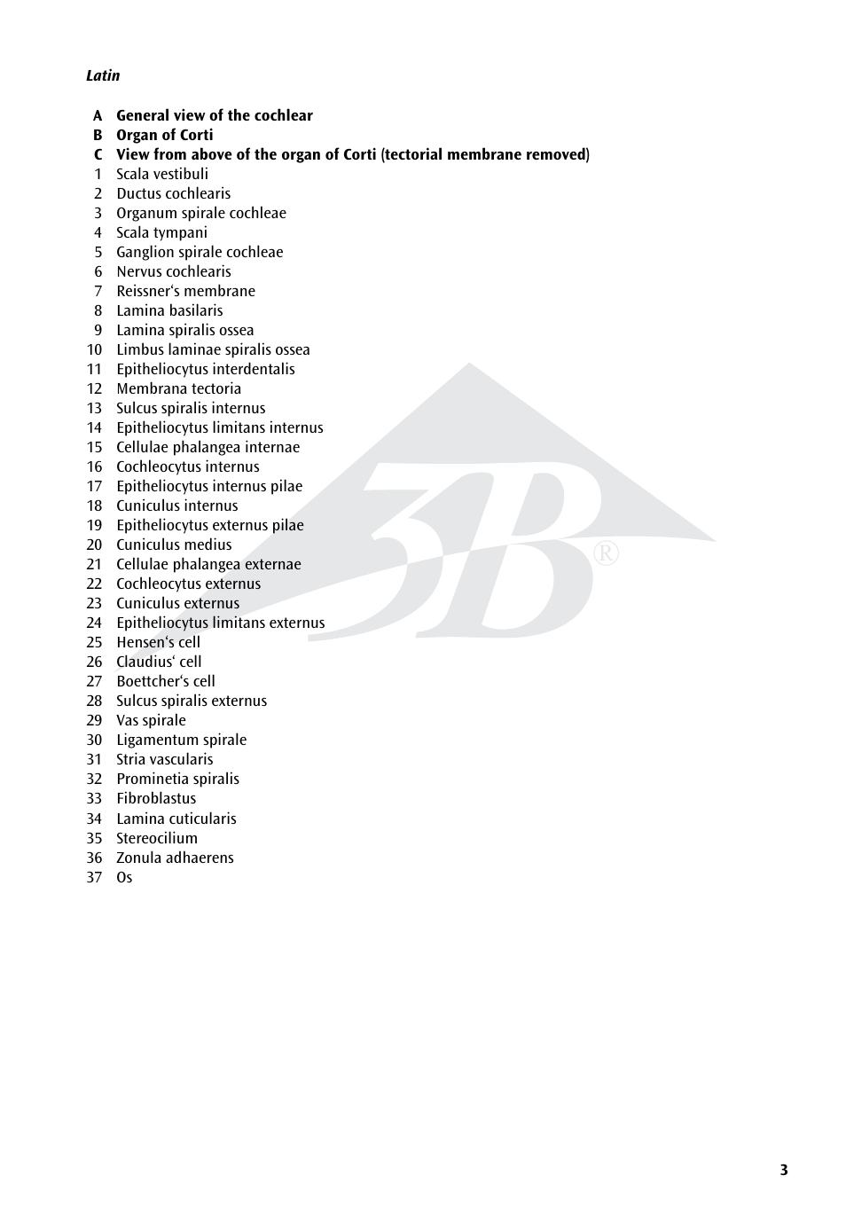 3B Scientific Organ of Corti User Manual | Page 3 / 16