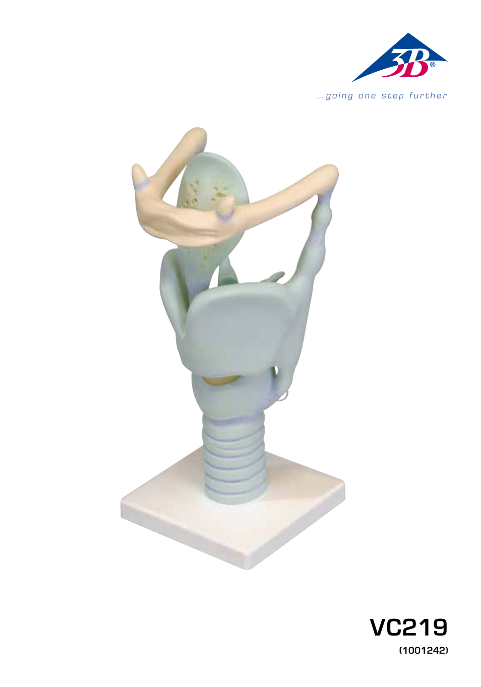 3B Scientific Functional Larynx Model, 3 times full-size User Manual | 16 pages