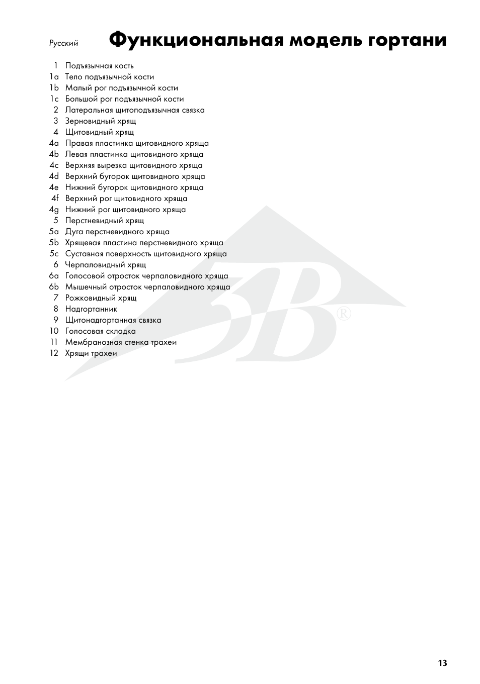 Функциональная модель гортани | 3B Scientific Functional Larynx Model, 3 times full-size User Manual | Page 13 / 16