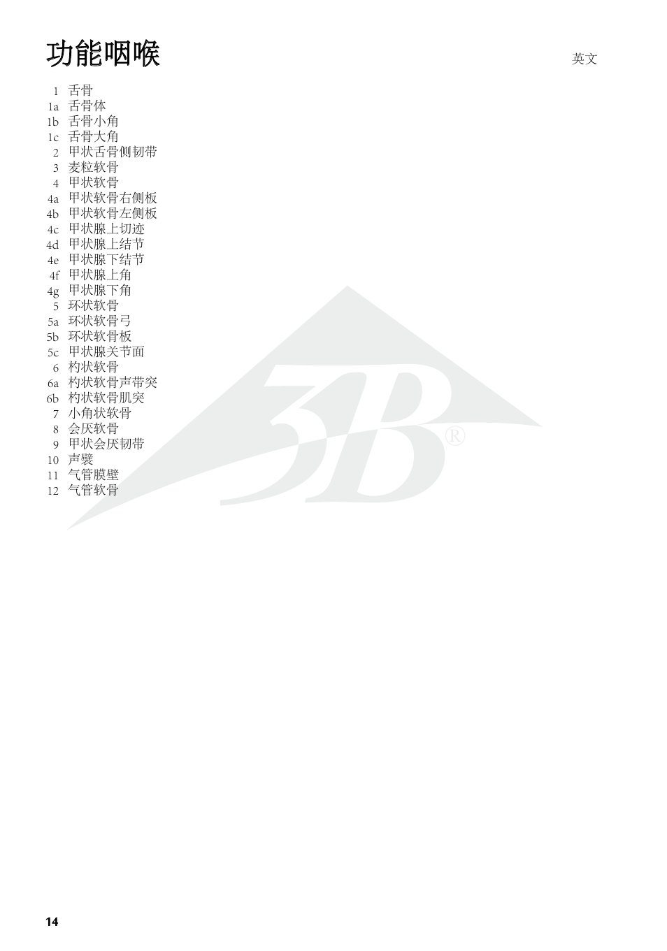 功能咽喉 | 3B Scientific Functional Larynx Model, 3 times full-size User Manual | Page 14 / 16